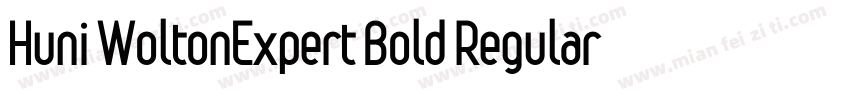 Huni WoltonExpert Bold Regular字体转换